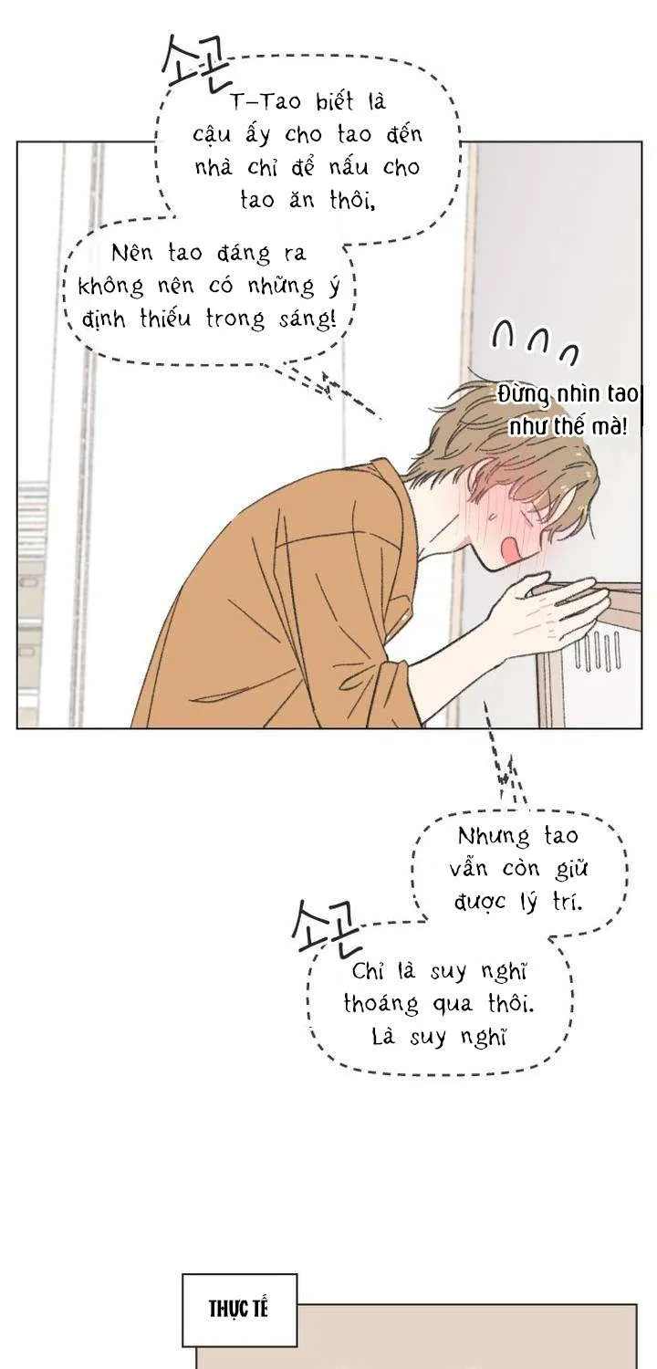 Chapter 61