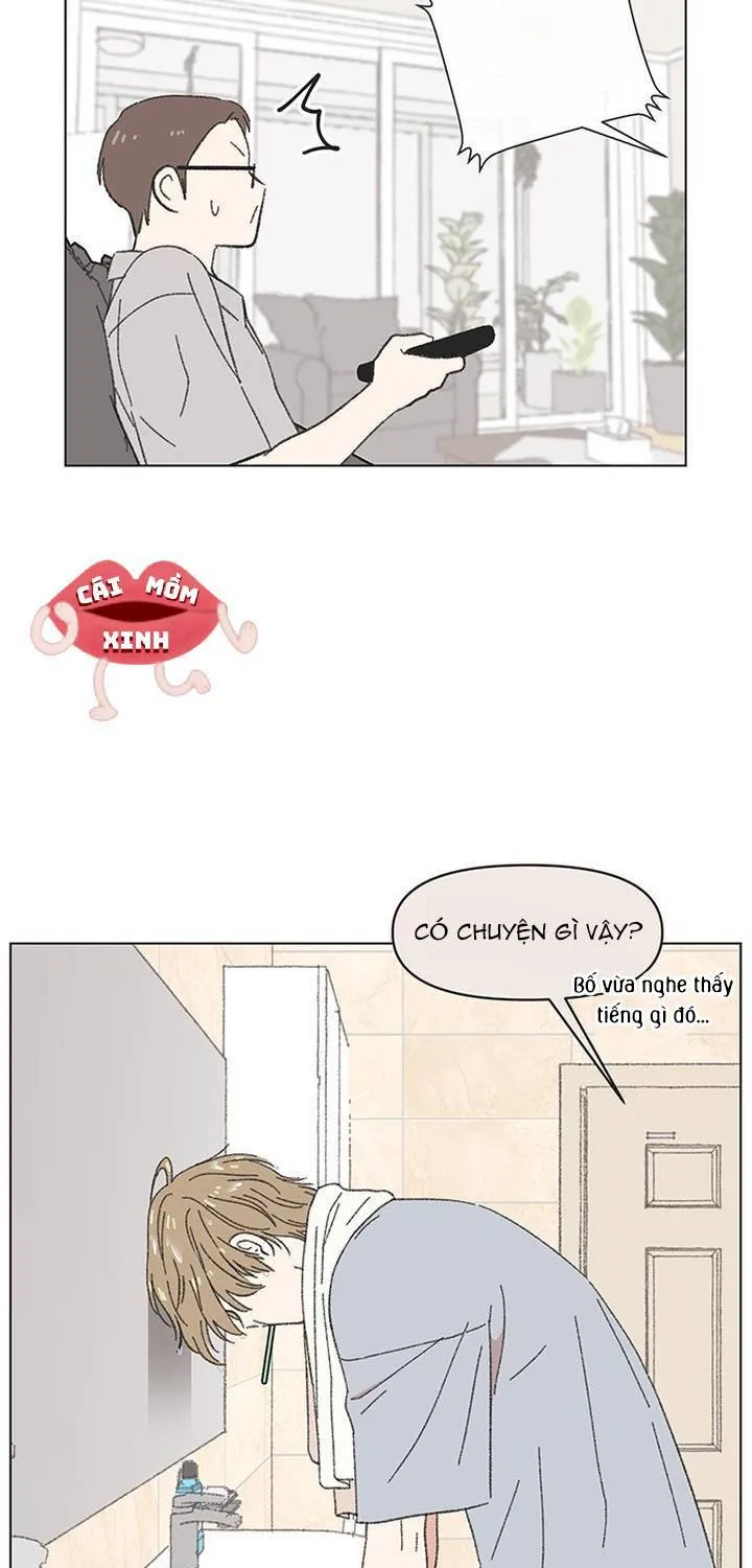Chapter 62