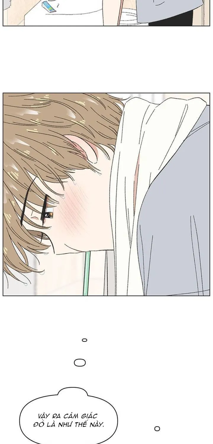 Chapter 62