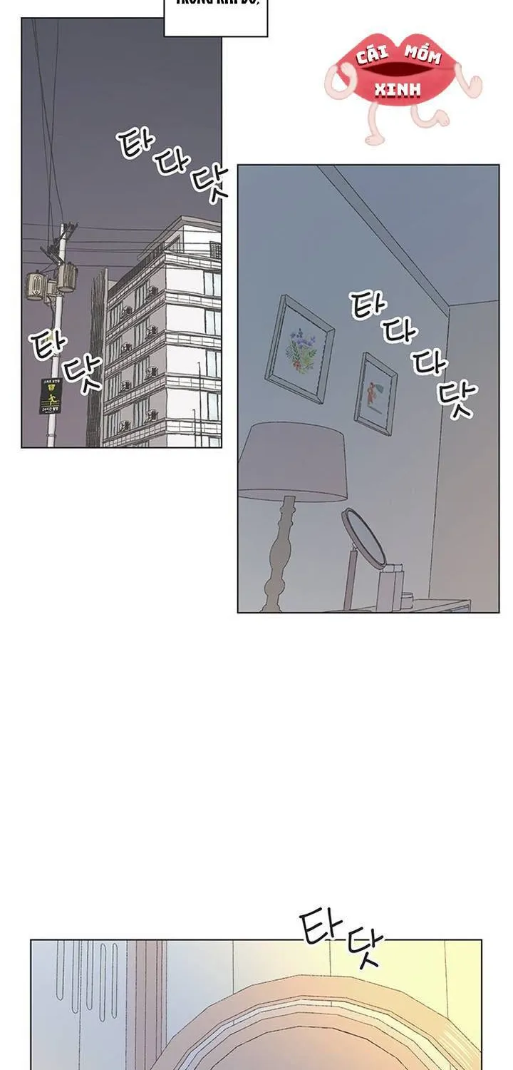 Chapter 62