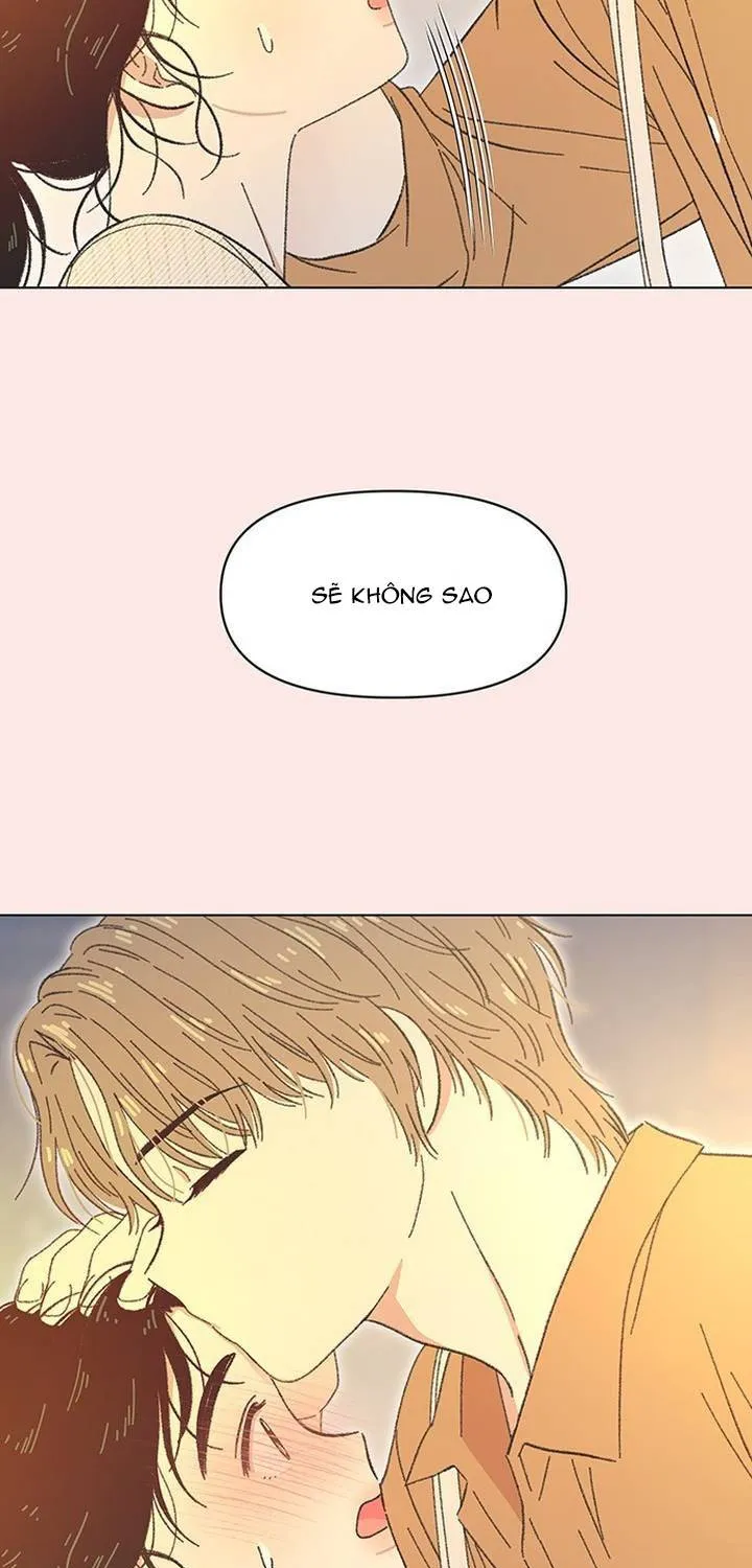Chapter 62
