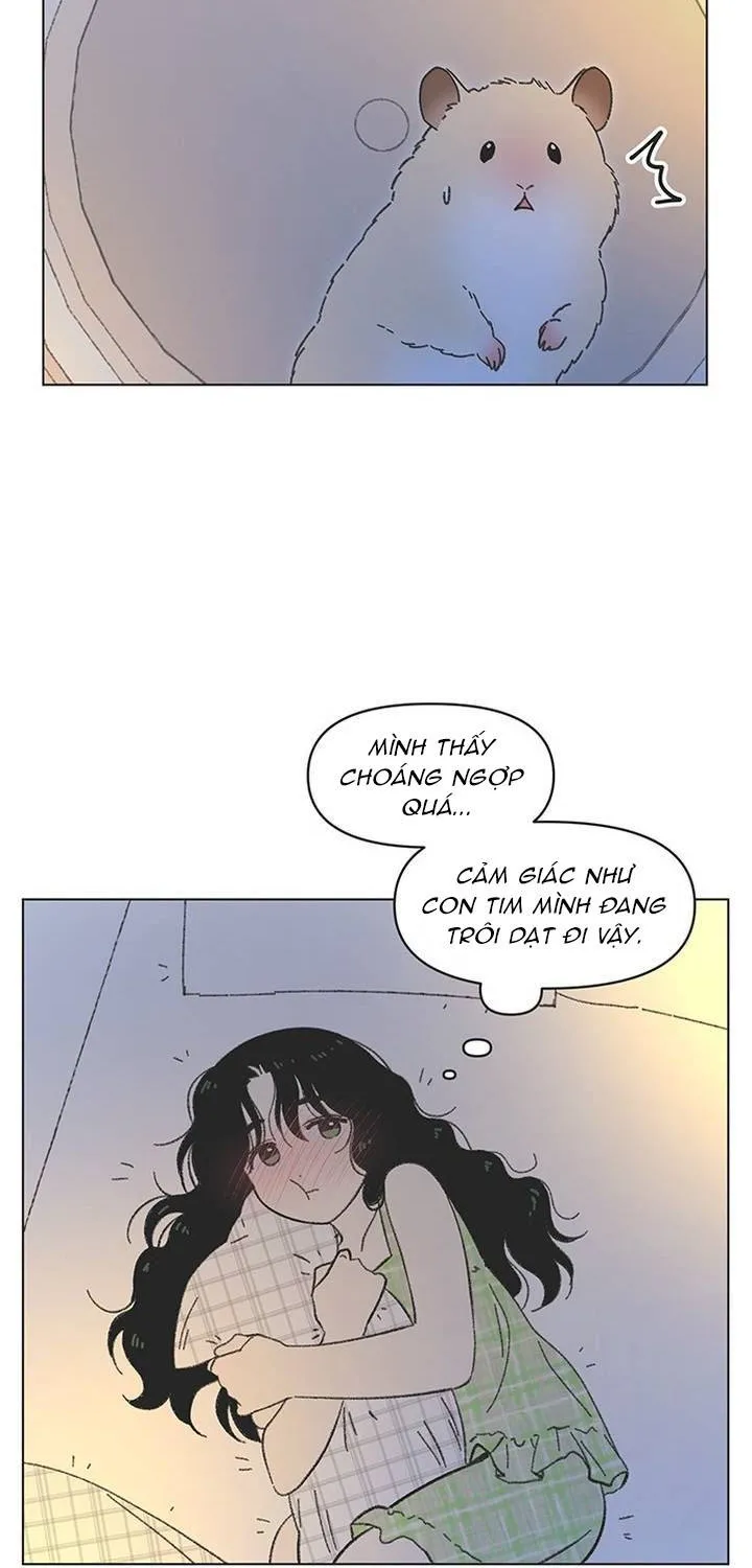 Chapter 62