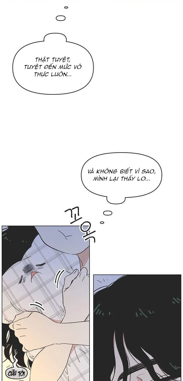 Chapter 62