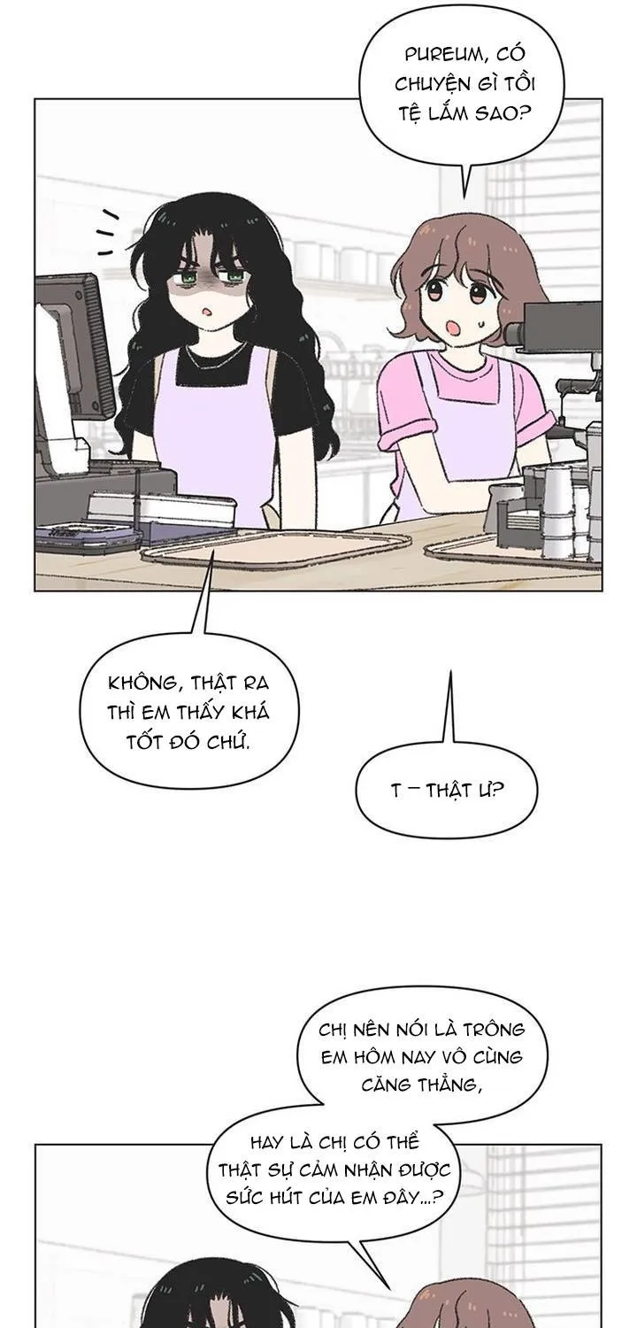 Chapter 62