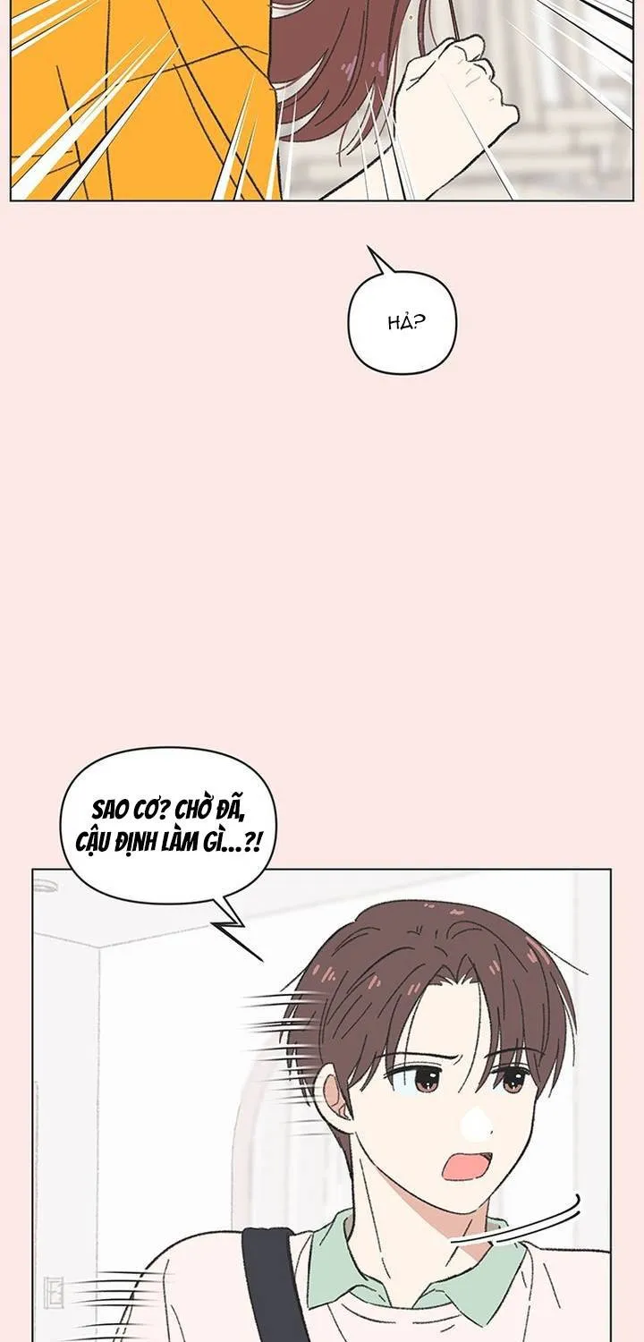 Chapter 62