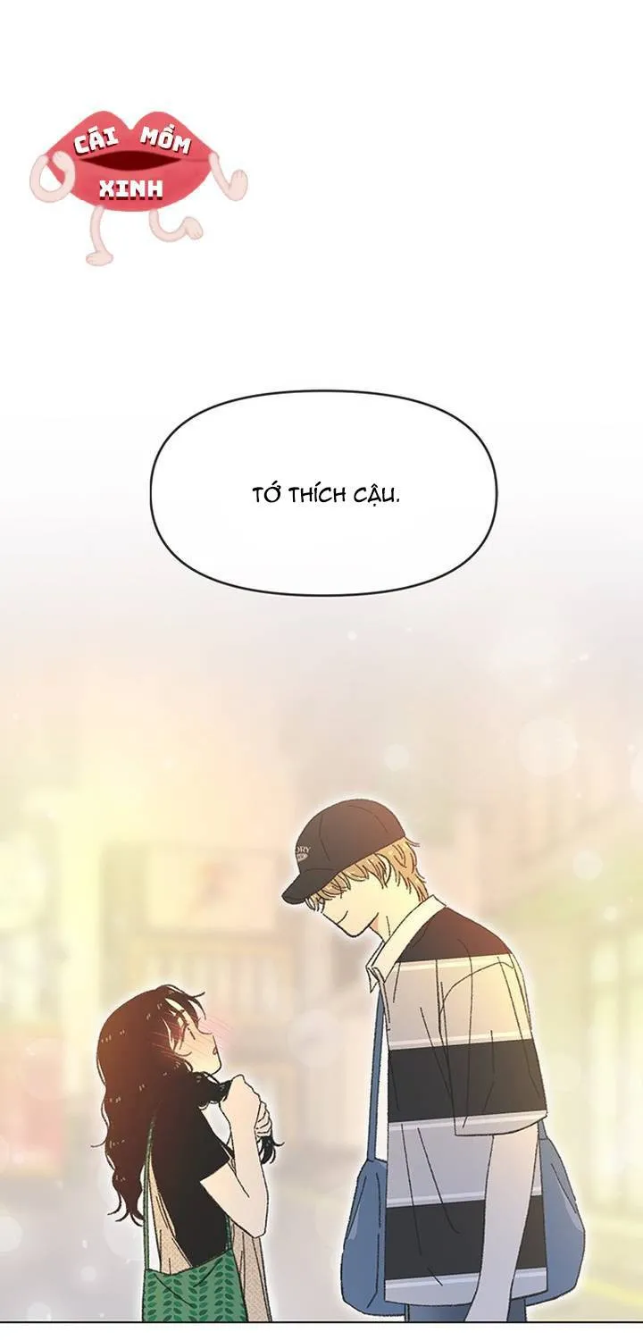 Chapter 63