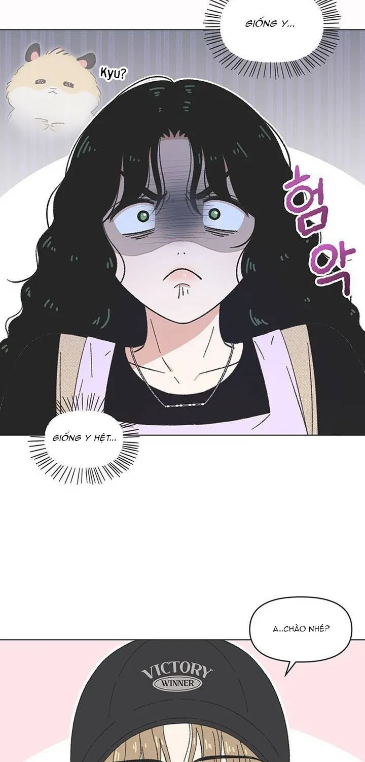 Chapter 63