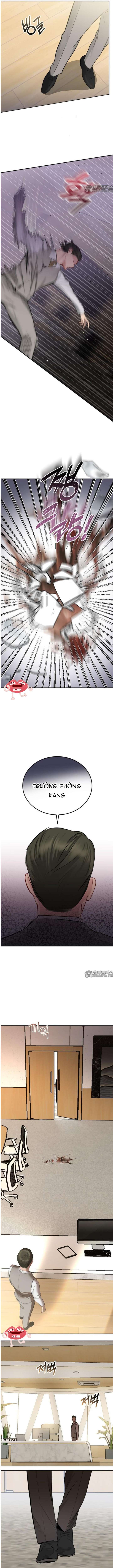 Chapter 41