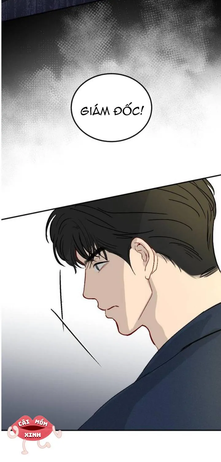Chapter 43