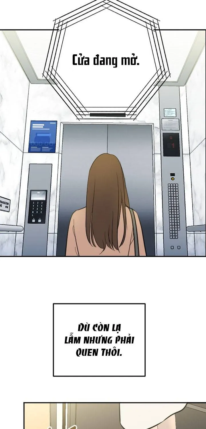 Chapter 45