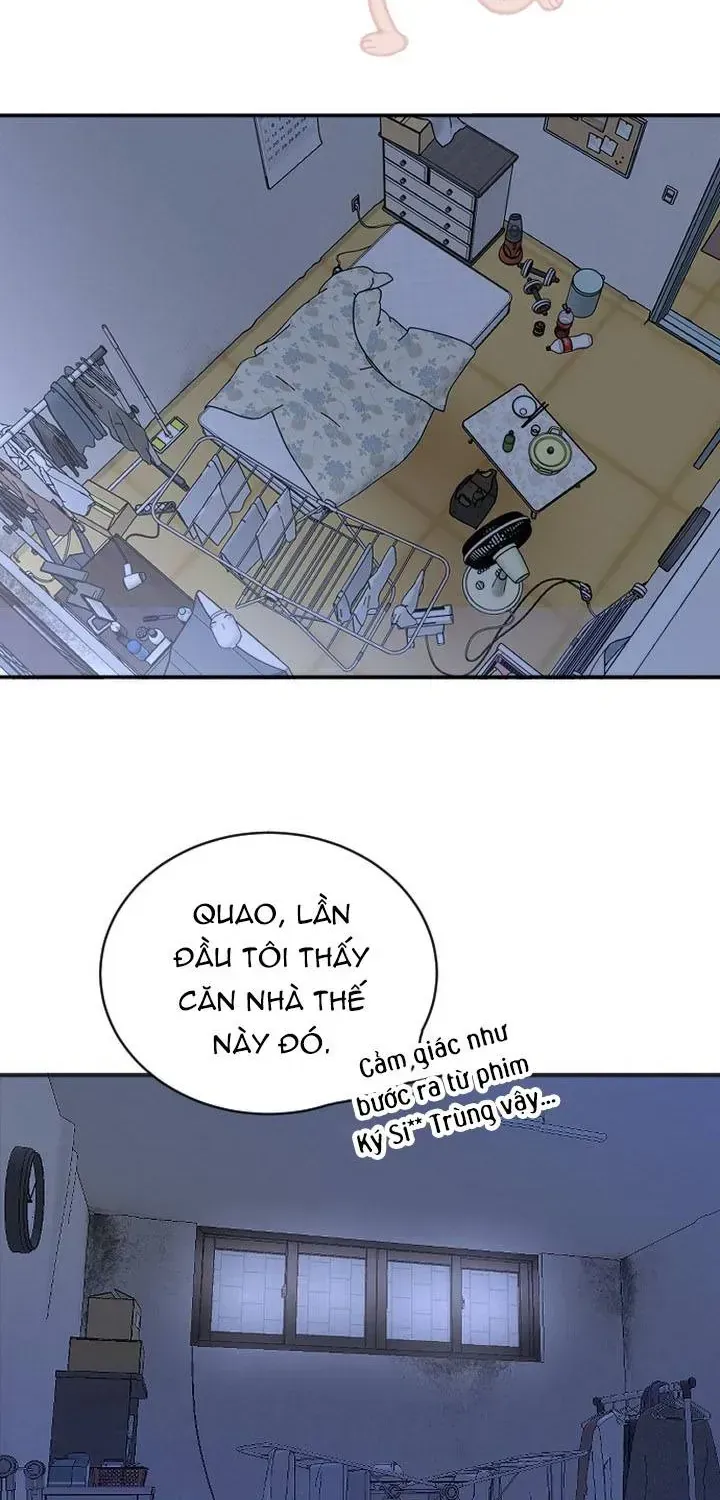 Chapter 49