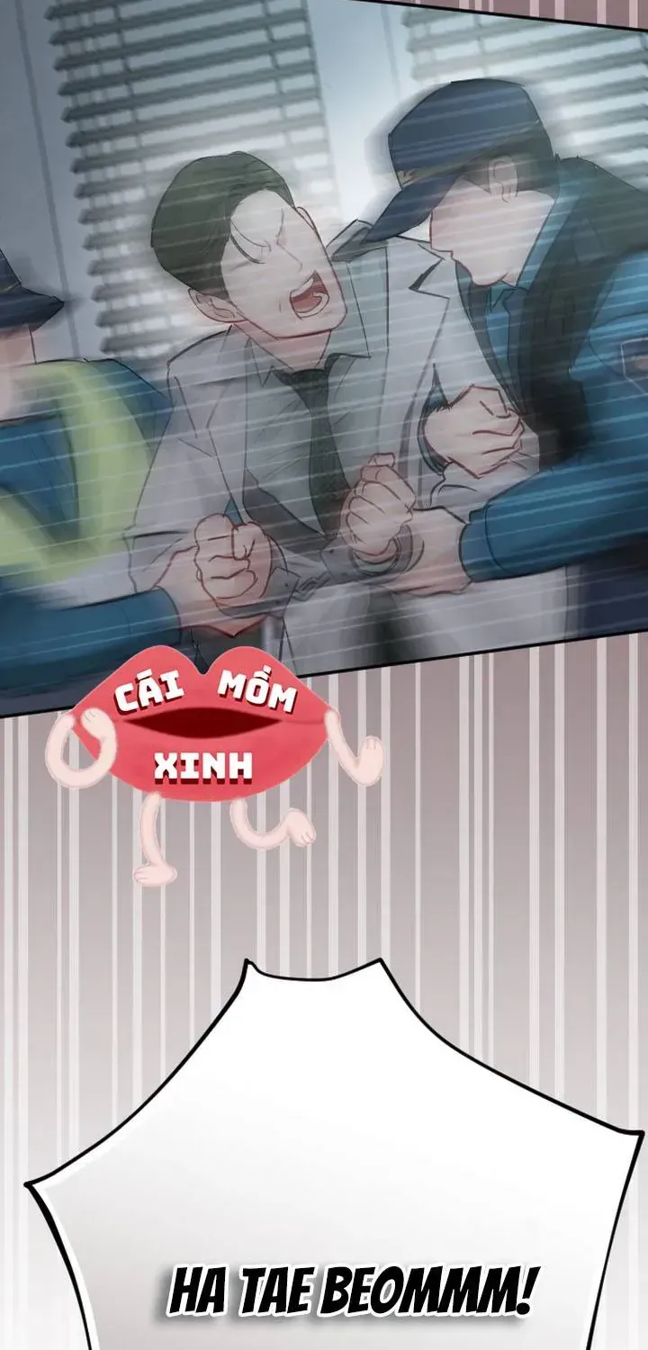 Chapter 50