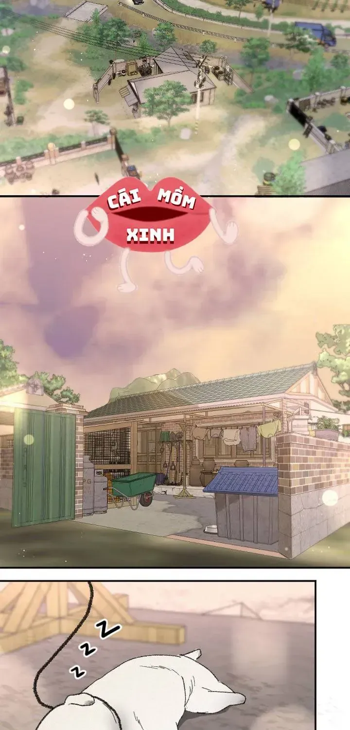 Chapter 51