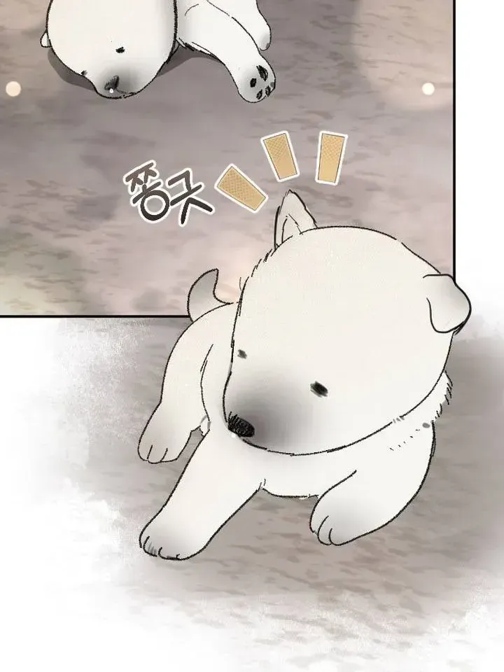 Chapter 51