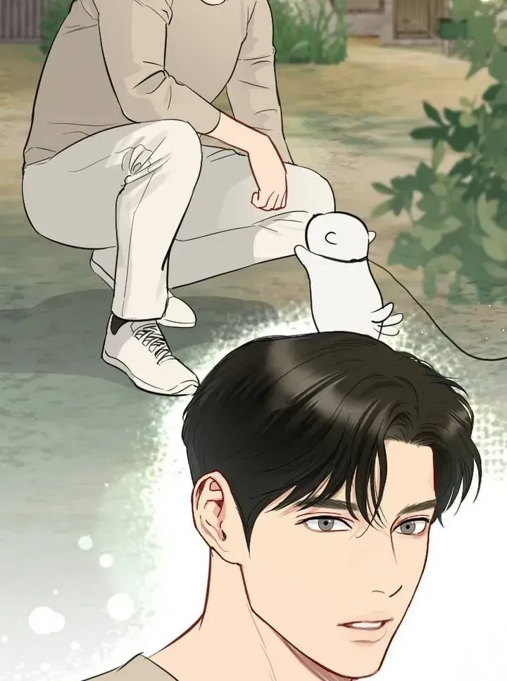 Chapter 51