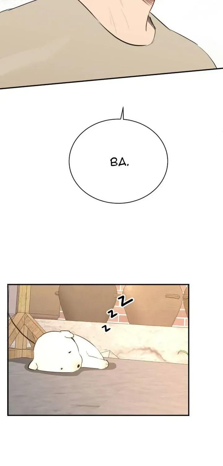 Chapter 51