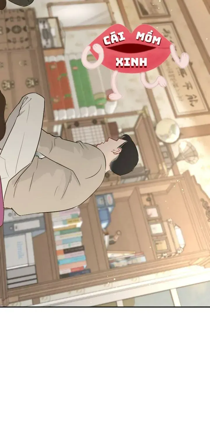 Chapter 51