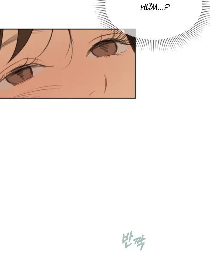 Chapter 51