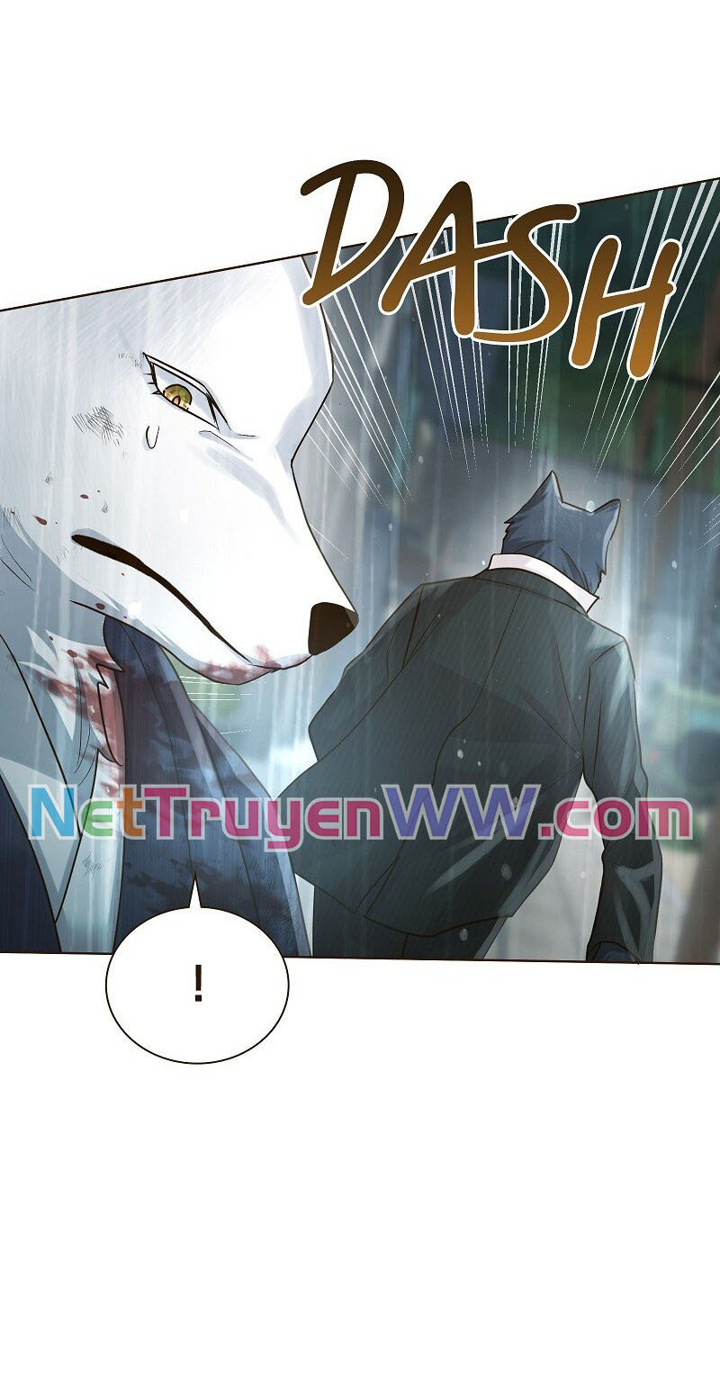 Chapter 41