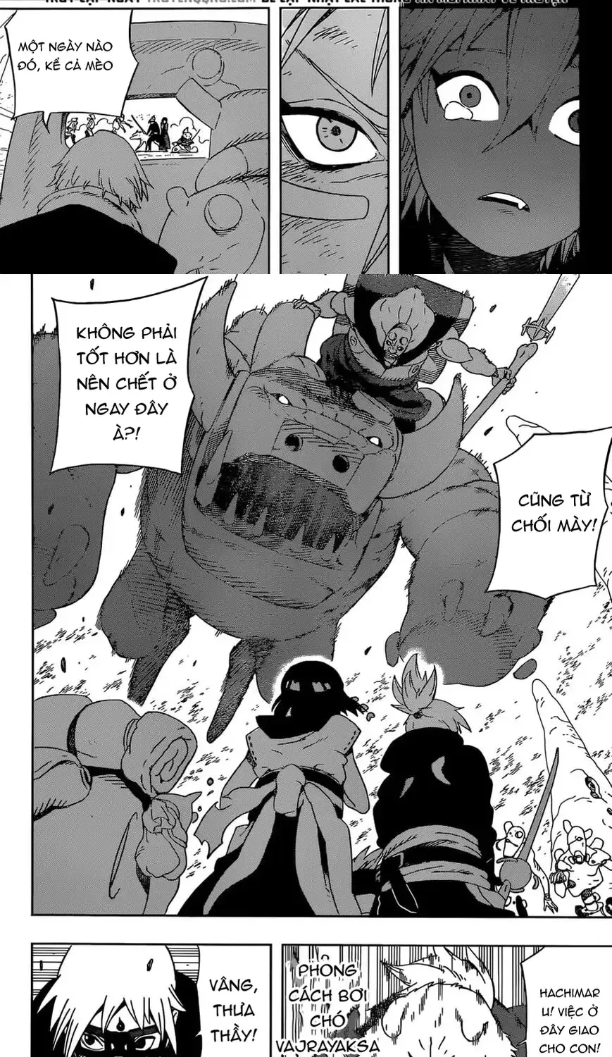 Chapter 26