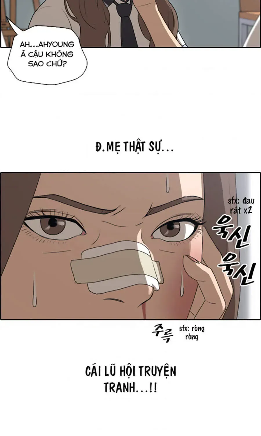 Chapter 115.6