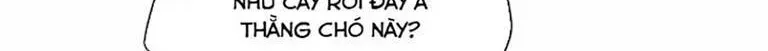 Chapter 137.2