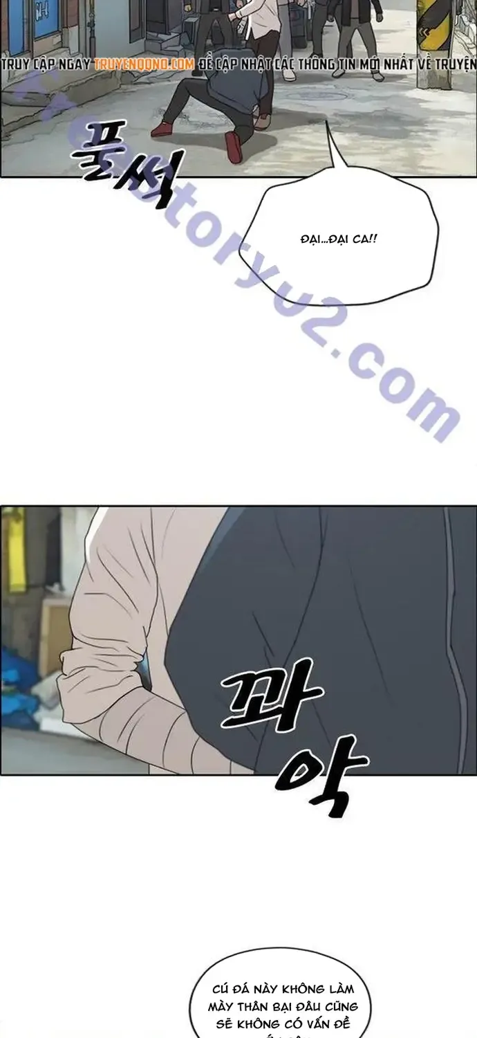 Chapter 194