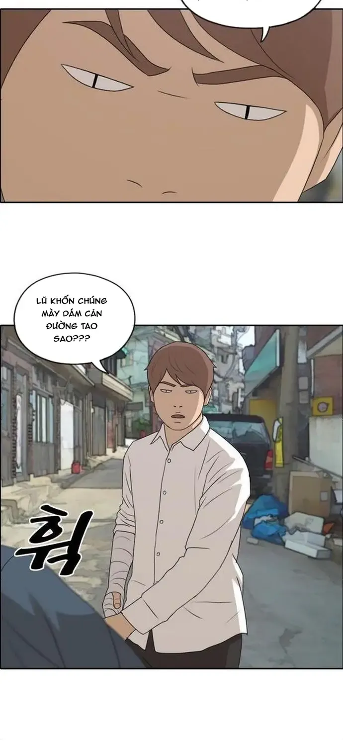 Chapter 194