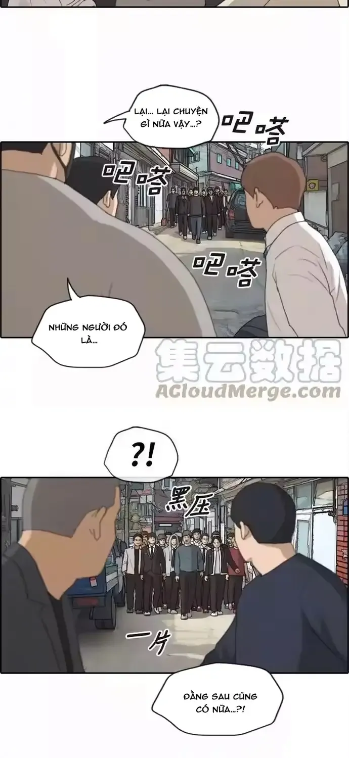 Chapter 195