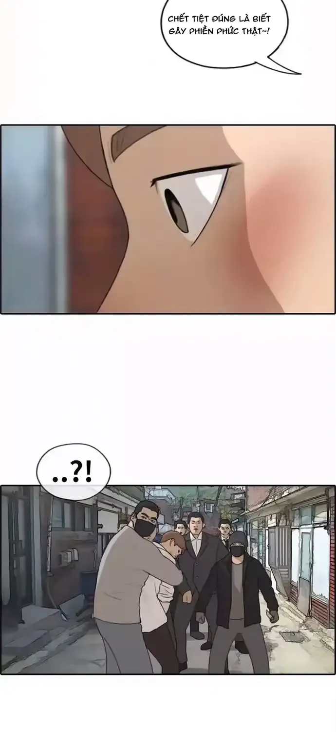 Chapter 195