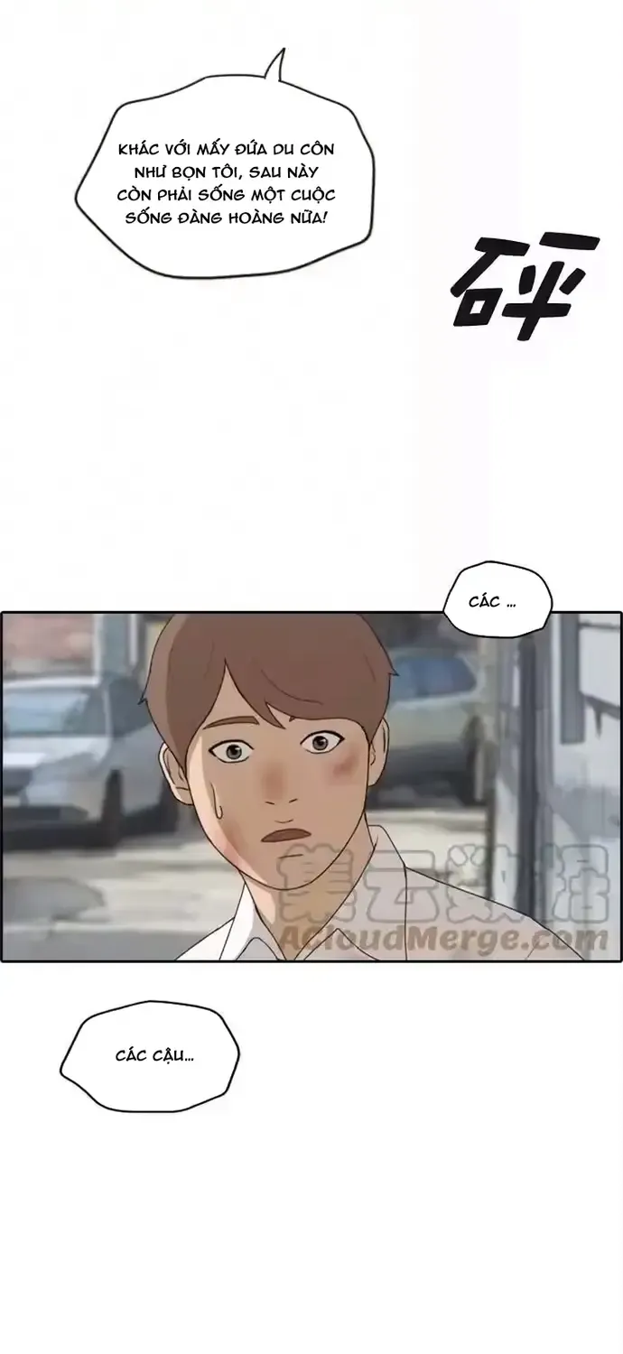 Chapter 195
