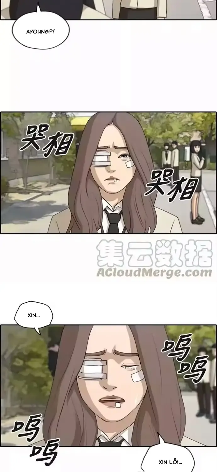 Chapter 195