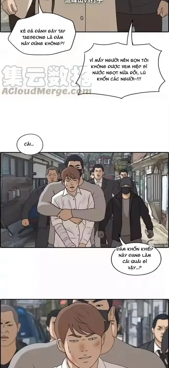 Chapter 195