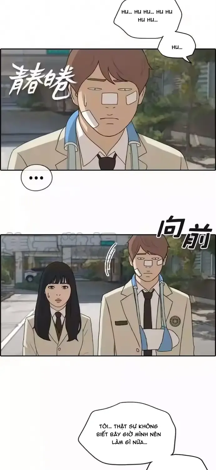 Chapter 196