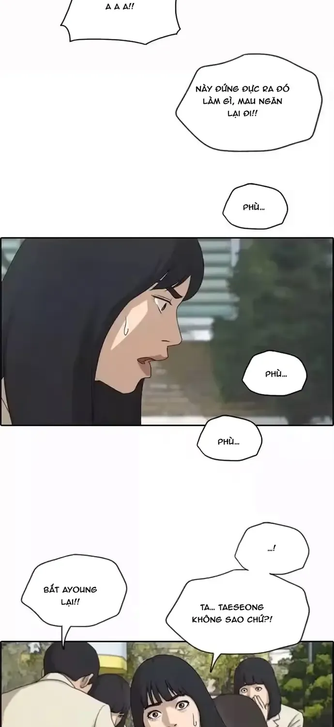 Chapter 196