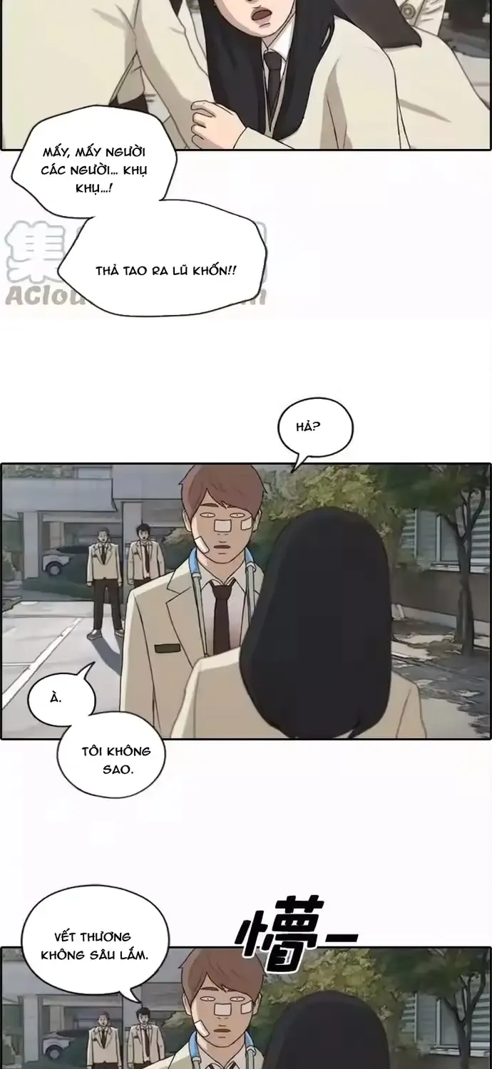 Chapter 196