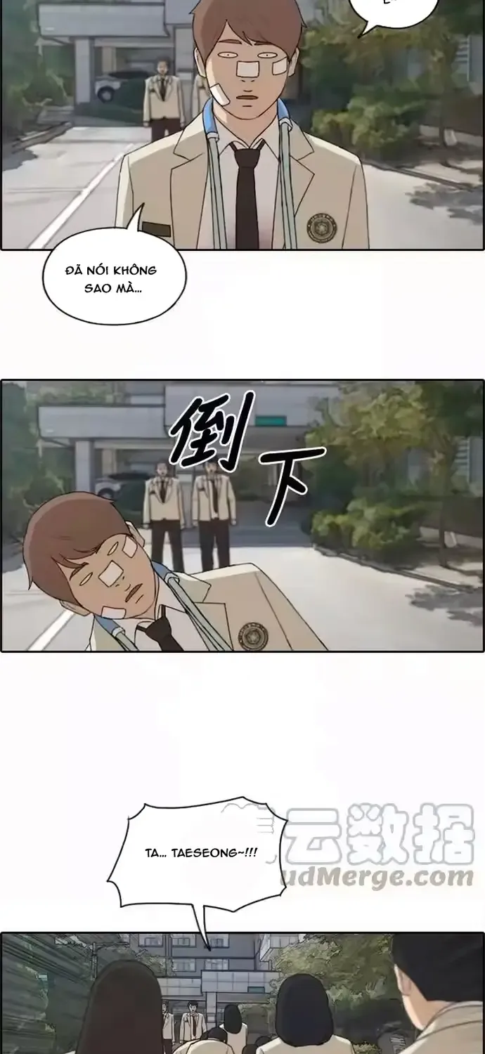 Chapter 196