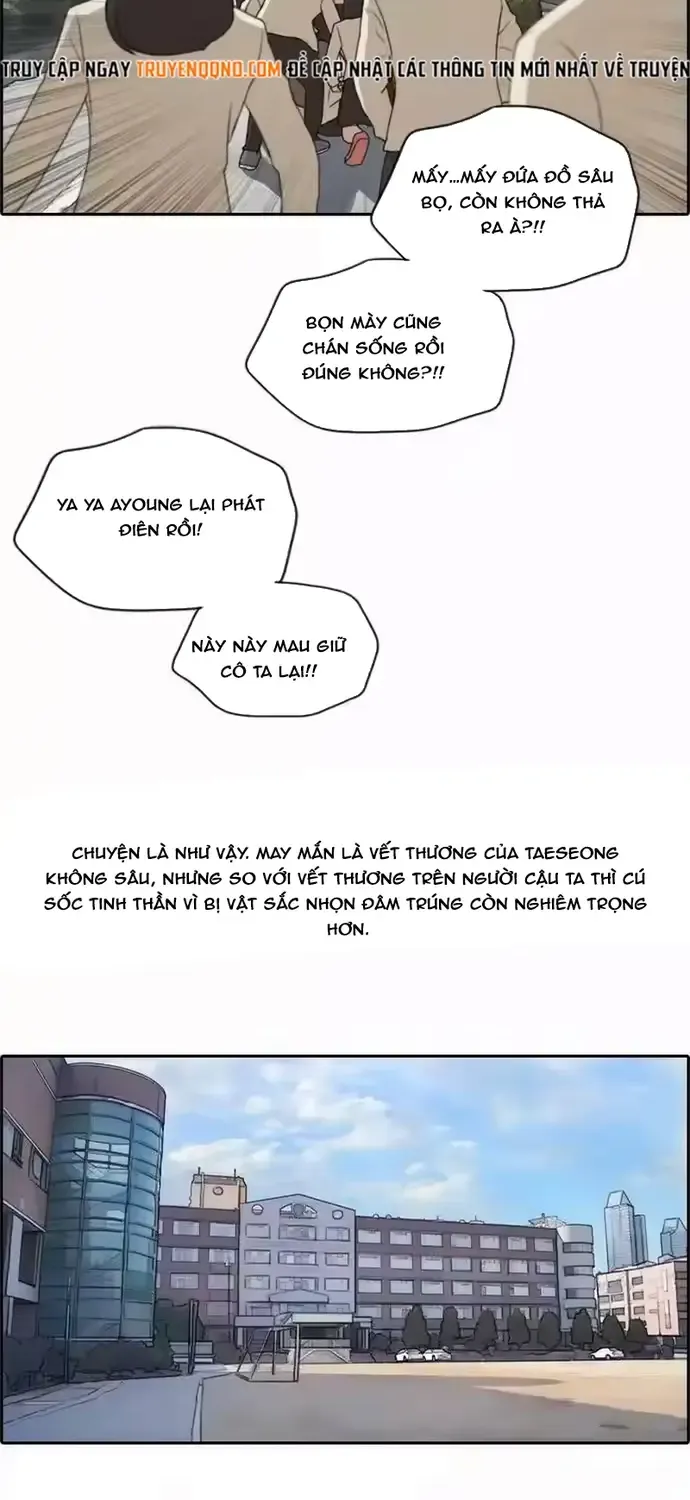 Chapter 196