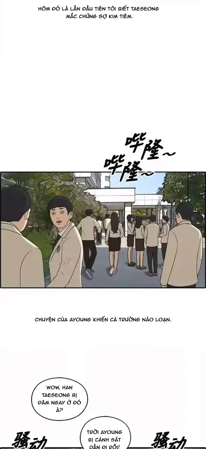 Chapter 196