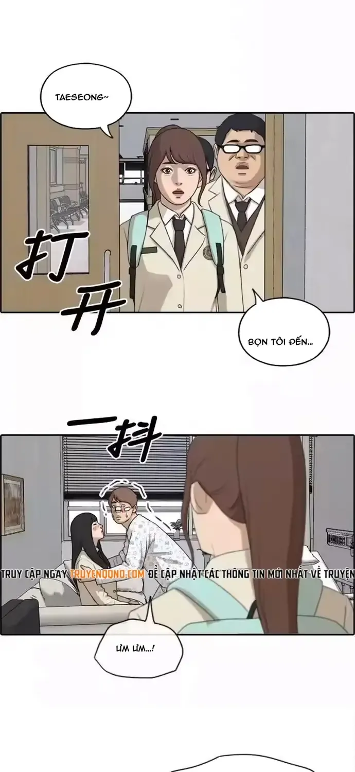Chapter 196