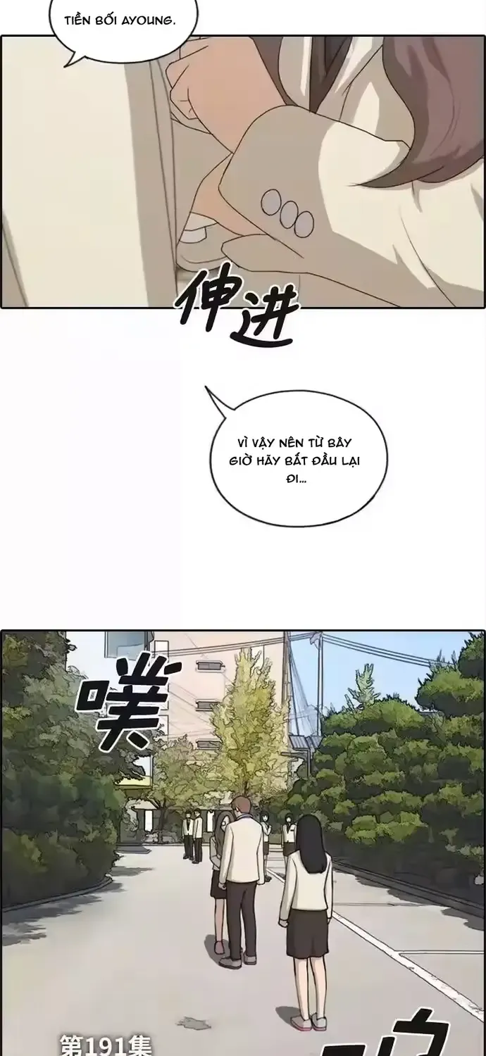 Chapter 196