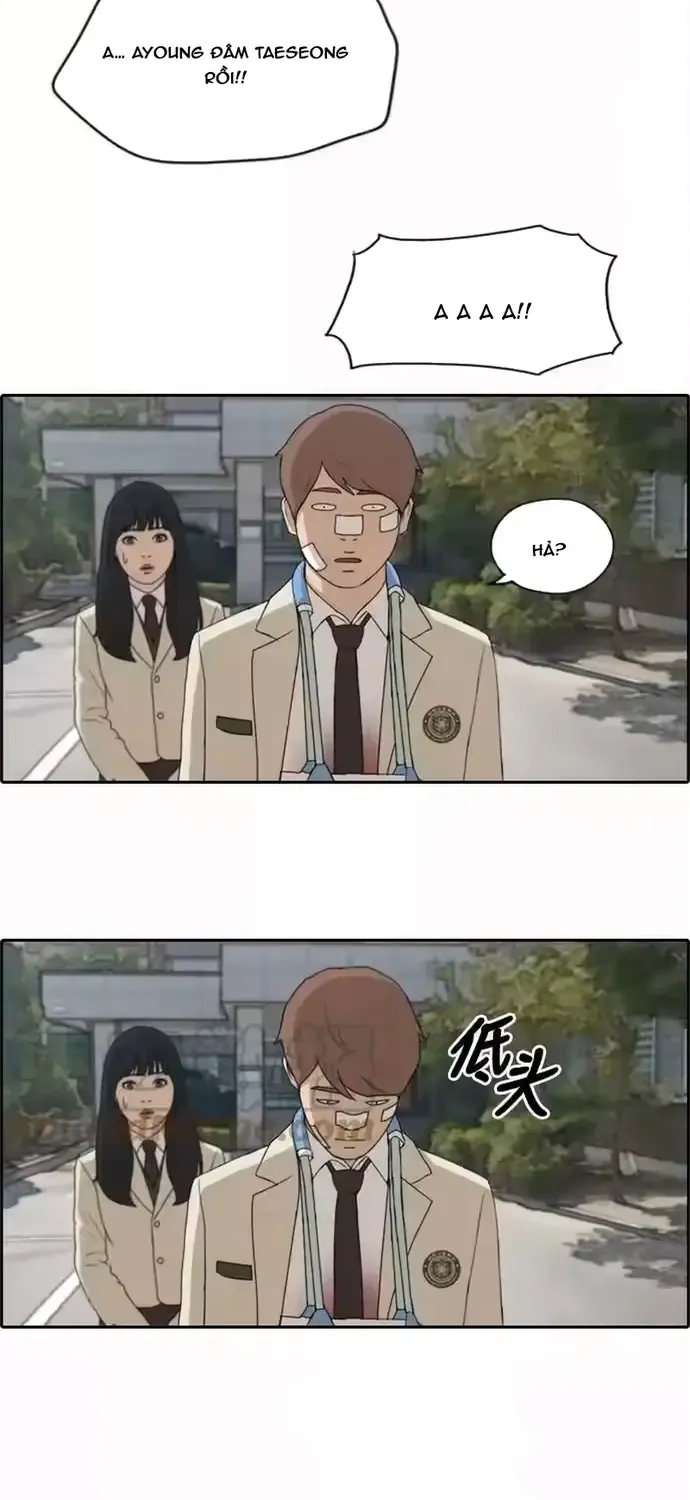 Chapter 196