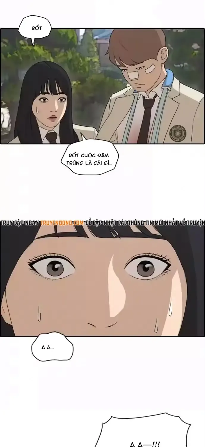 Chapter 196