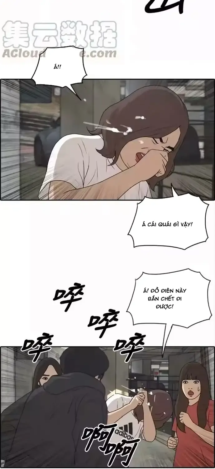 Chapter 202