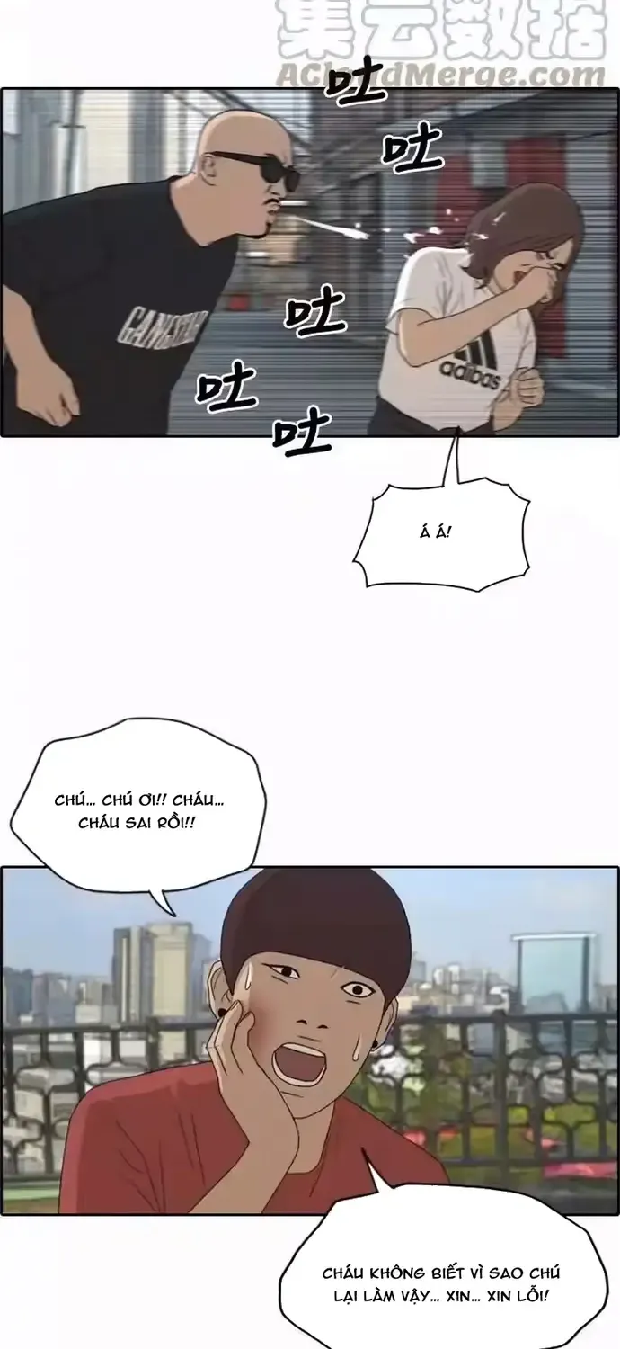 Chapter 203