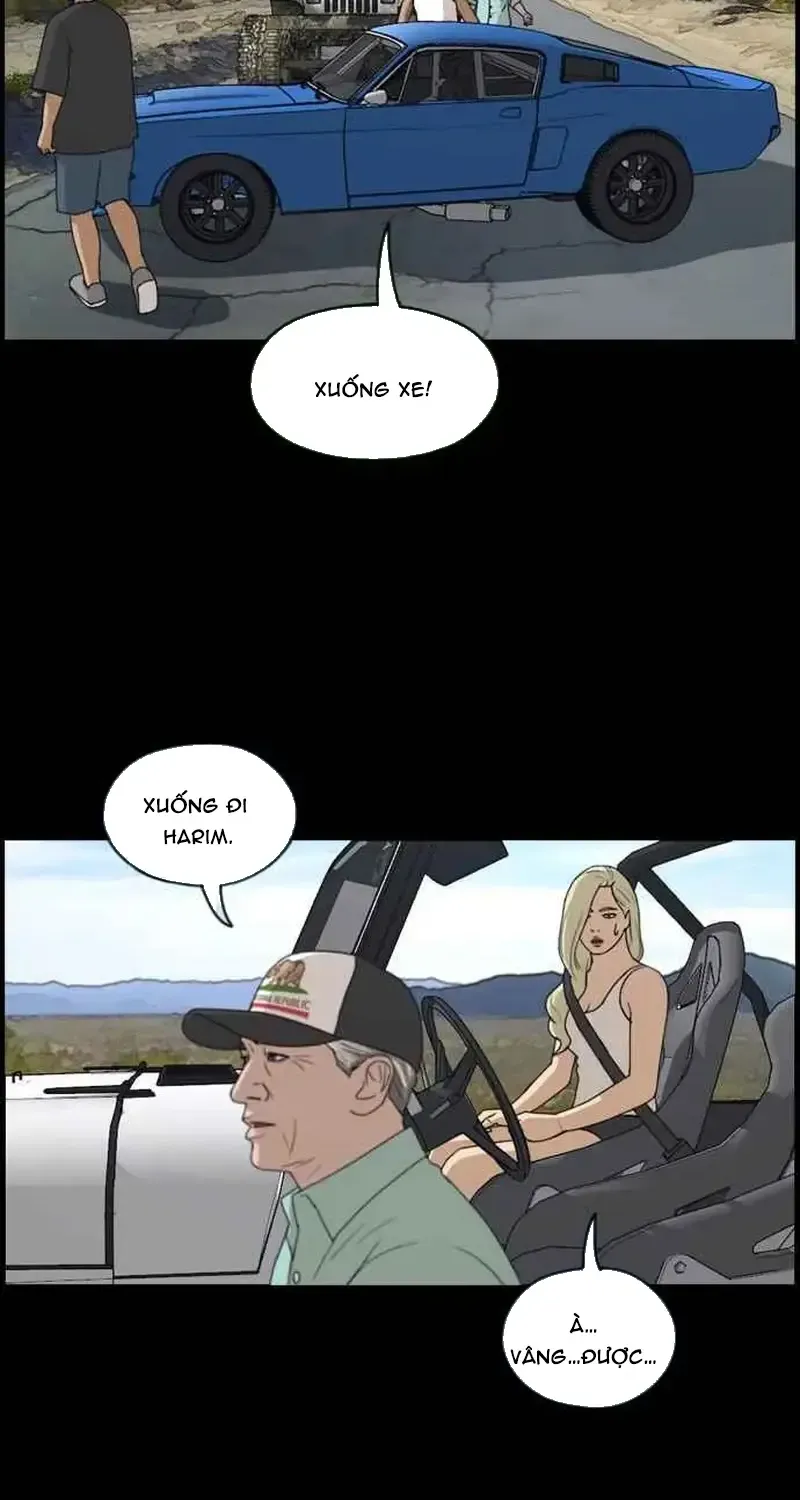 Chapter 213