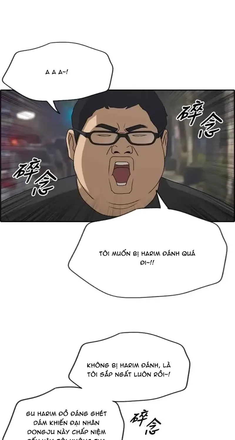 Chapter 213