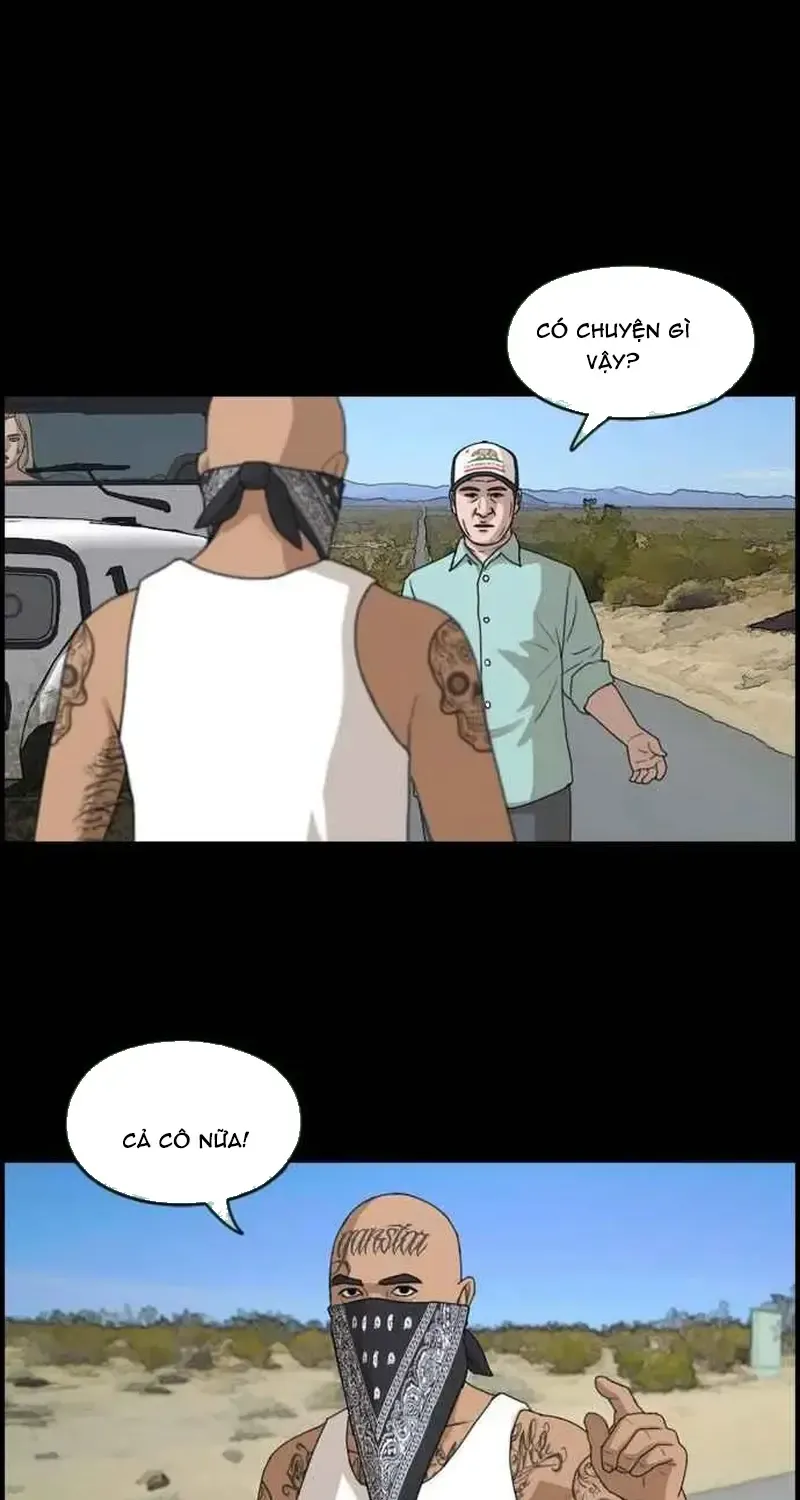 Chapter 213