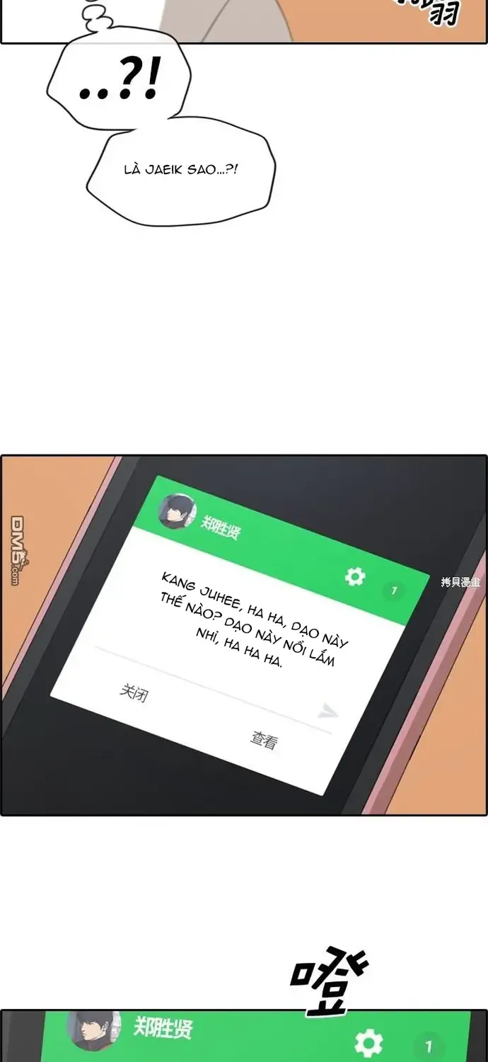 Chapter 224