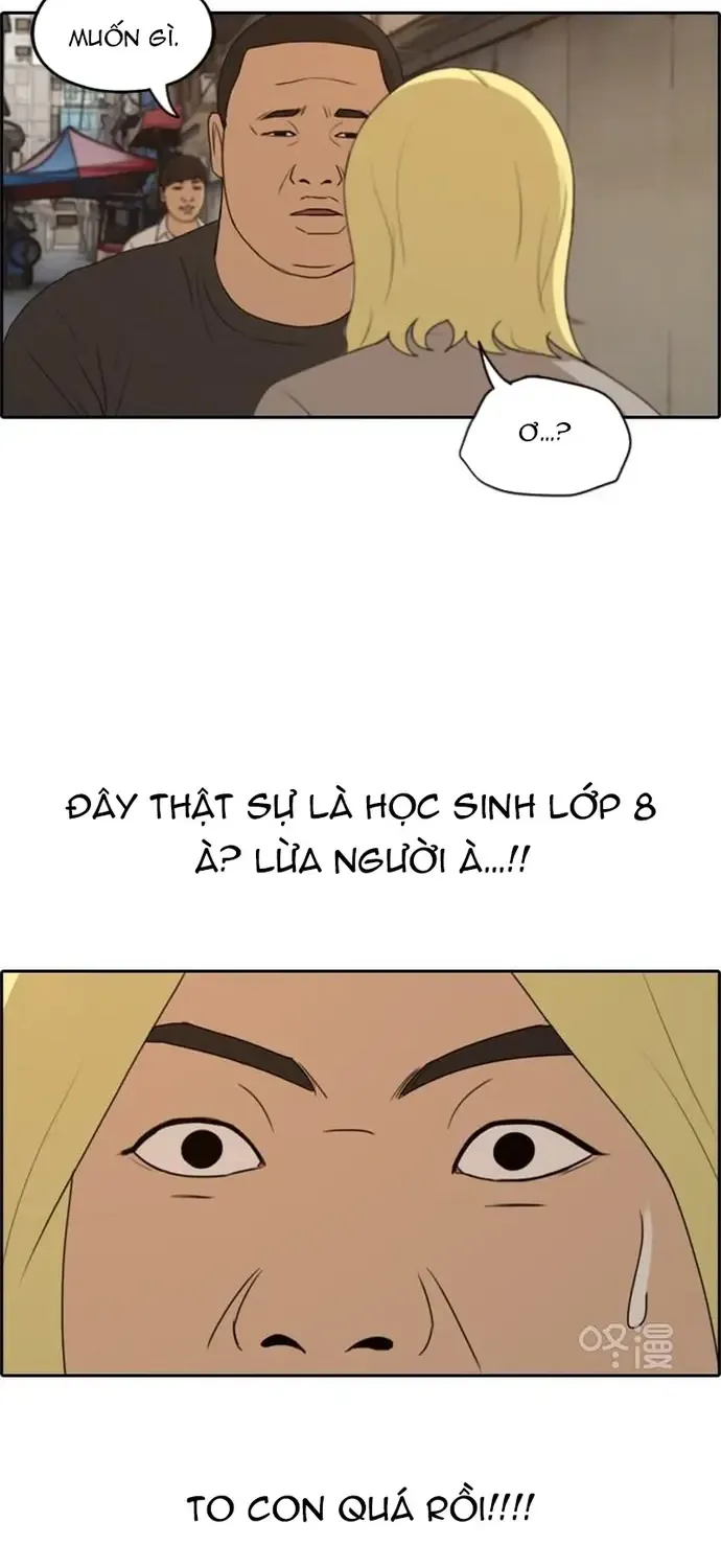 Chapter 231